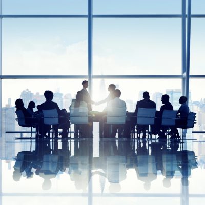 Different Types of Boards | Board Capital Partners